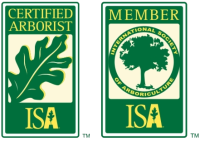 79-795960_isa-certified-arborist-isa-member-isa-certified-isa-certified-tree-climber